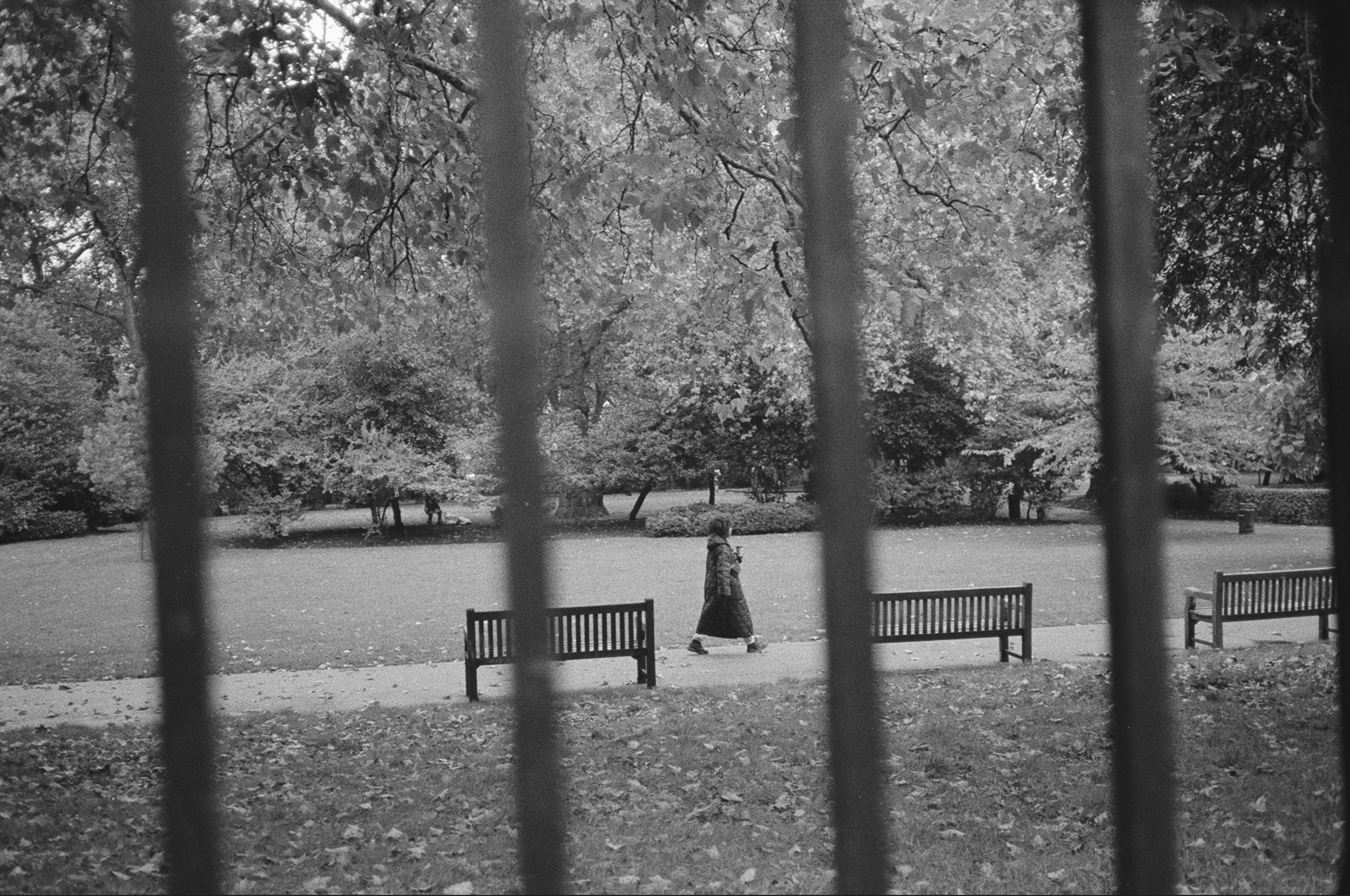 Screenshot 2024-11-20 at 1.46.02 pm.png