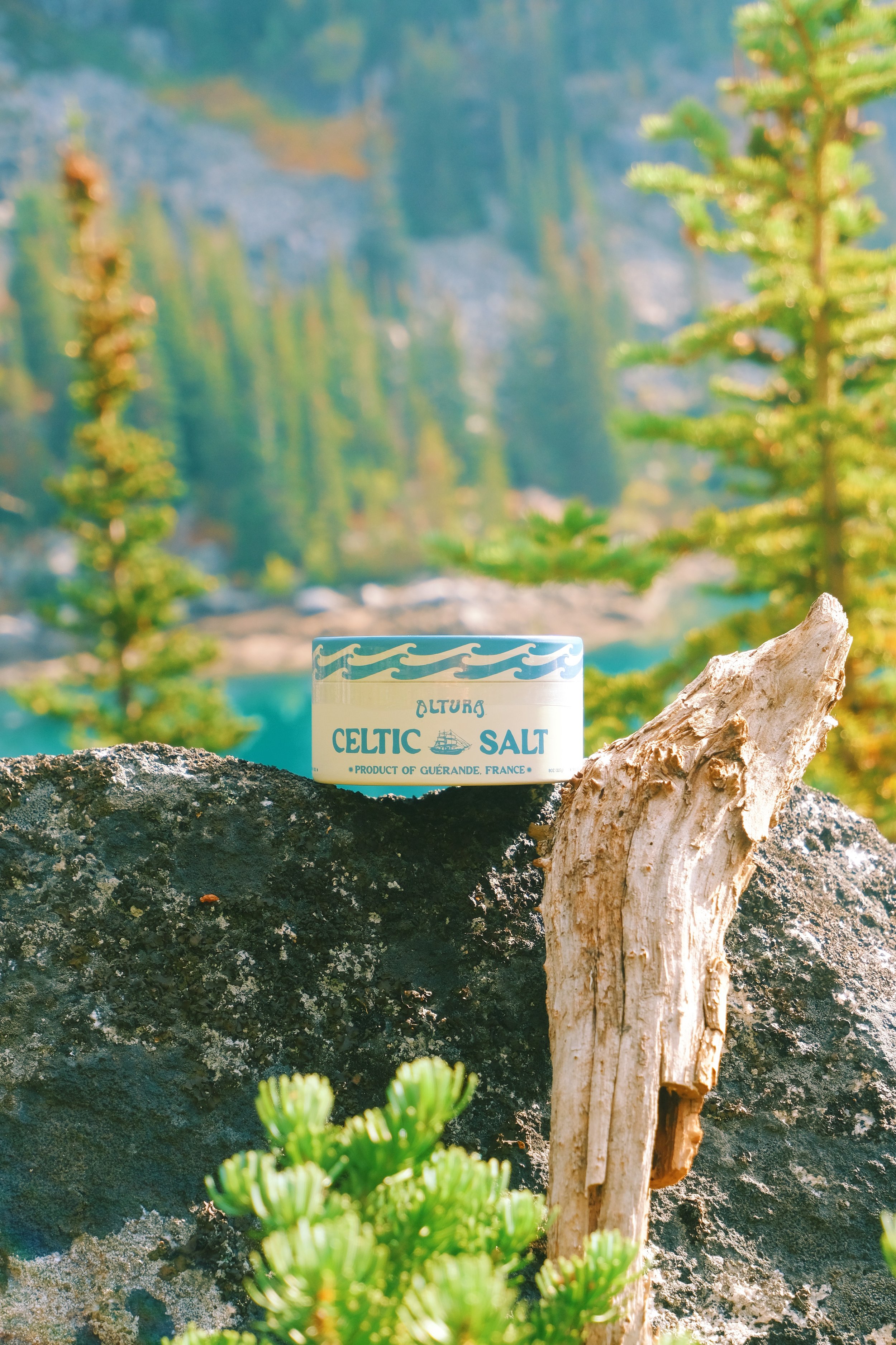 Enchantments Photo - 2.JPG