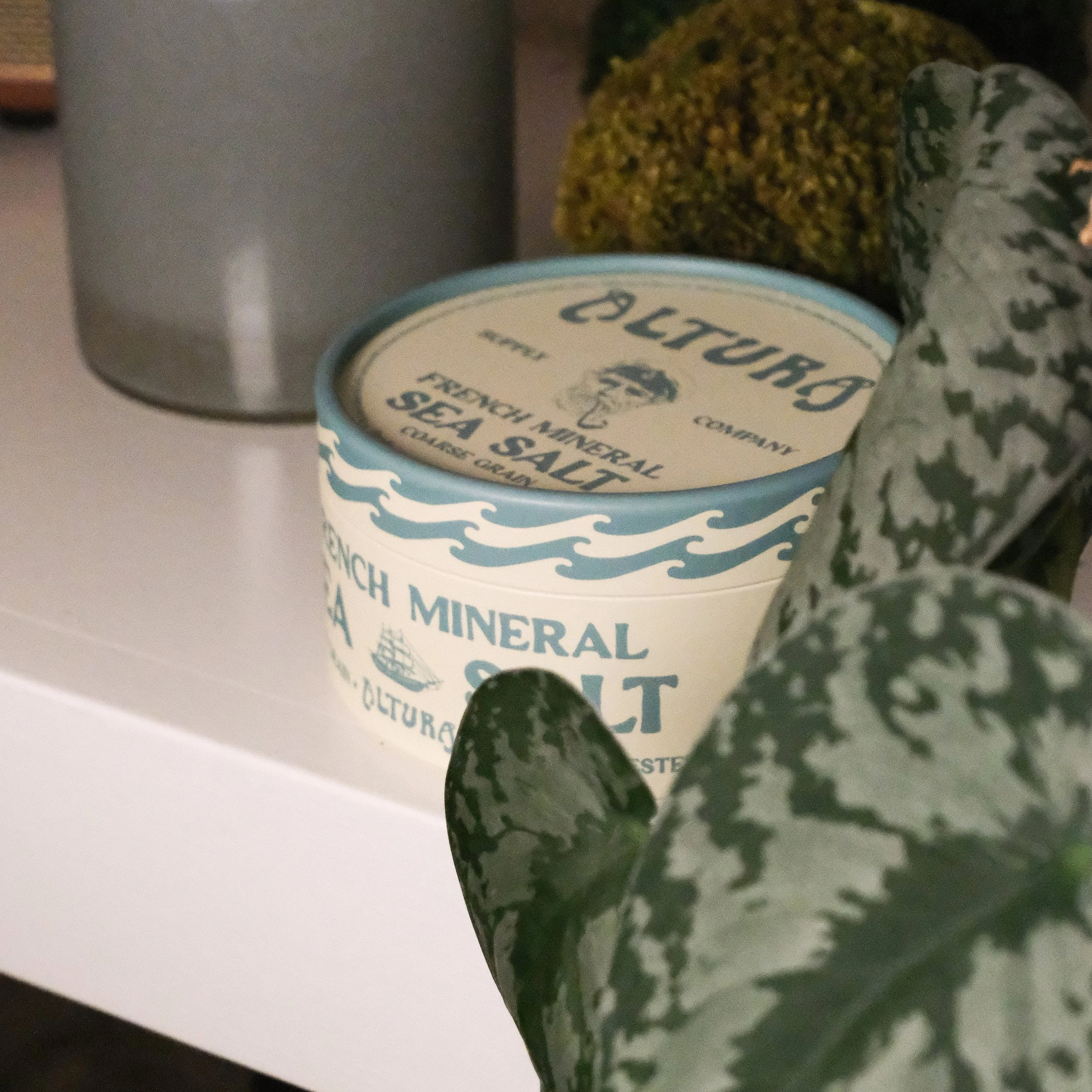 DSCF2370.jpg