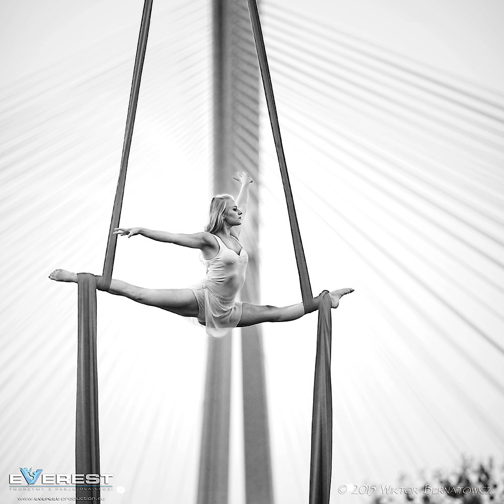 VII_7495sq.jpg