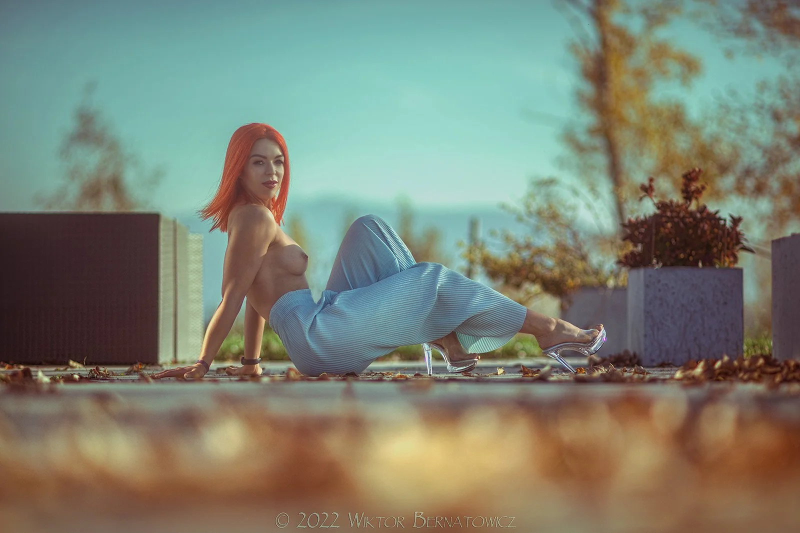 _0055169.jpg