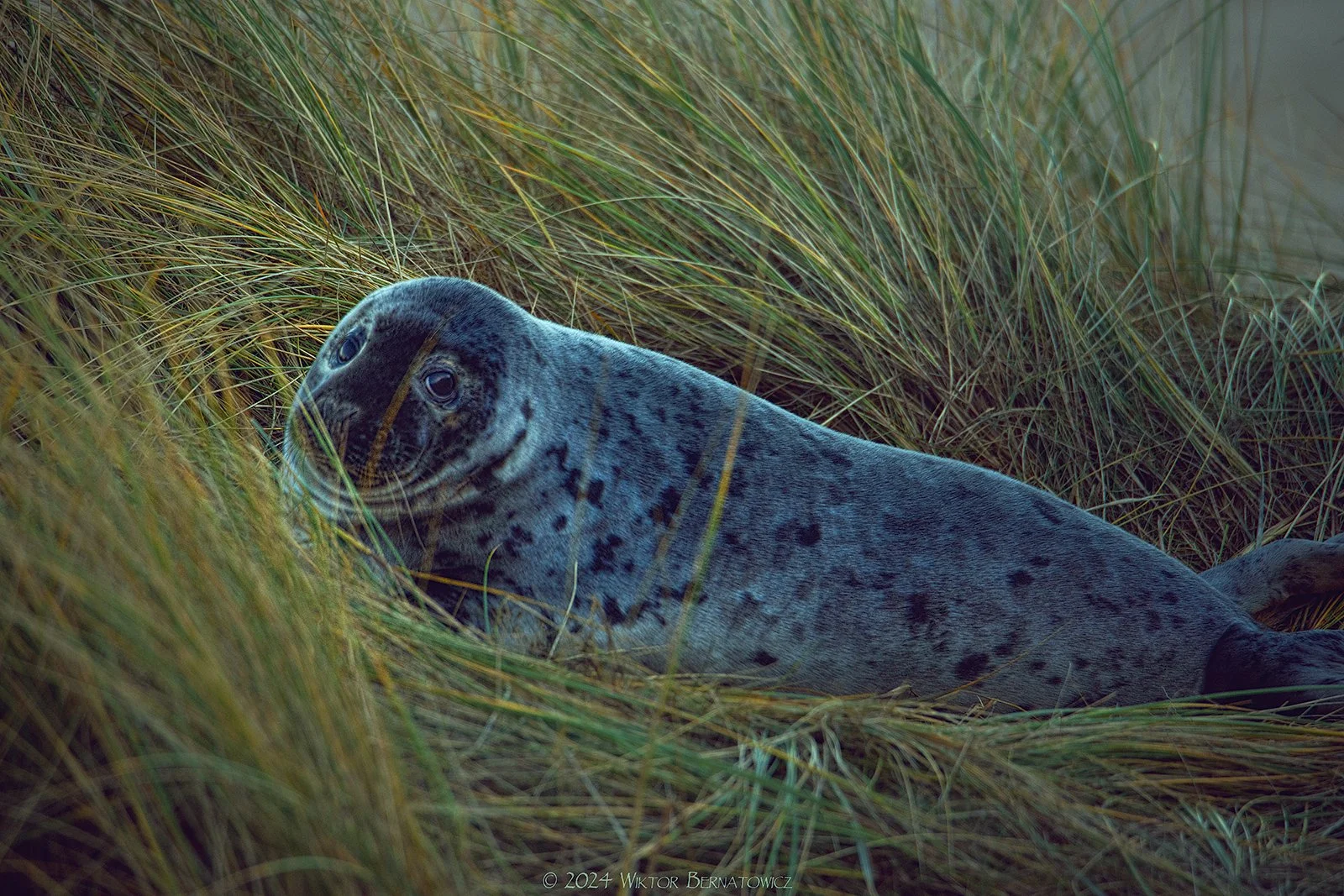 _0107008.jpg
