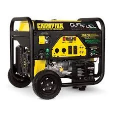Champion 9375-Watt Dual Fuel Generator. $100/Day