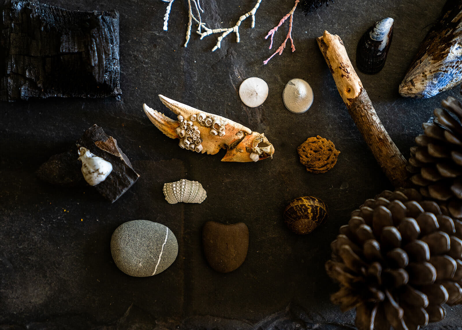 outcrop-brand-session-46.jpg