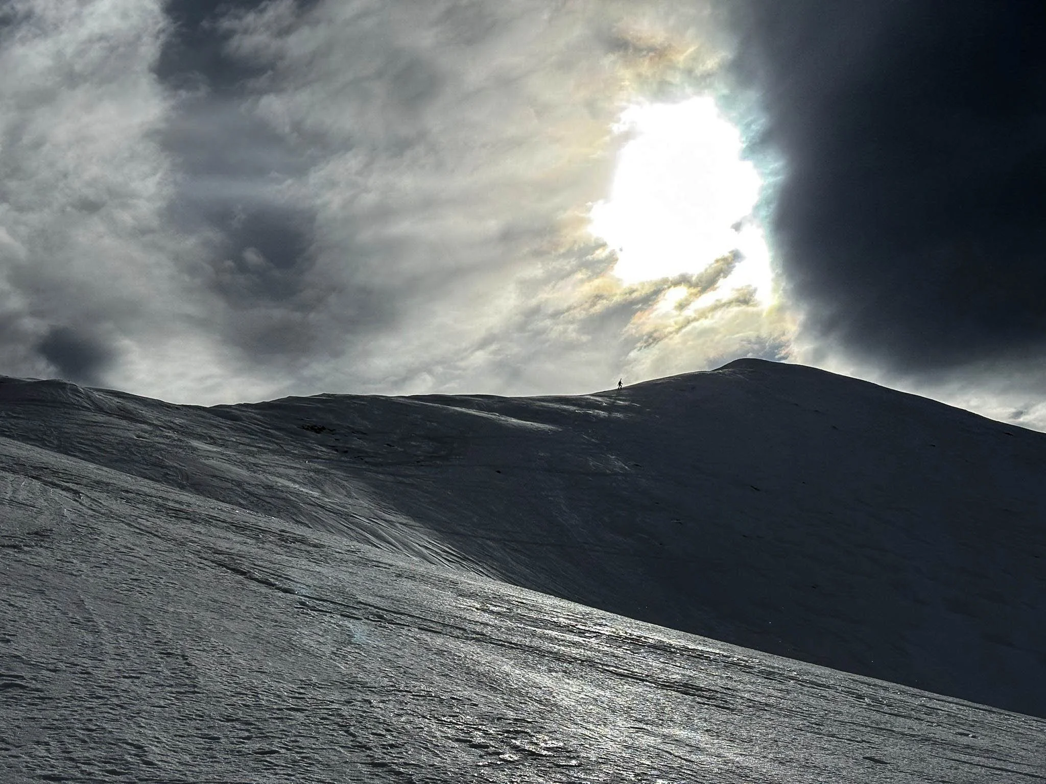 rodica_29_03_2026 (38).jpg