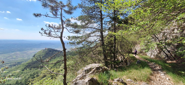 Vabljeni na Vitovsko krožno pot, 25.4.2026 
