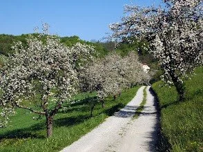 13.junij, pohod po Bizeljskem( PD Škofja Loka)