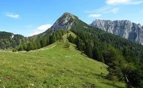 14.junij, KOŠUTICA 1968m