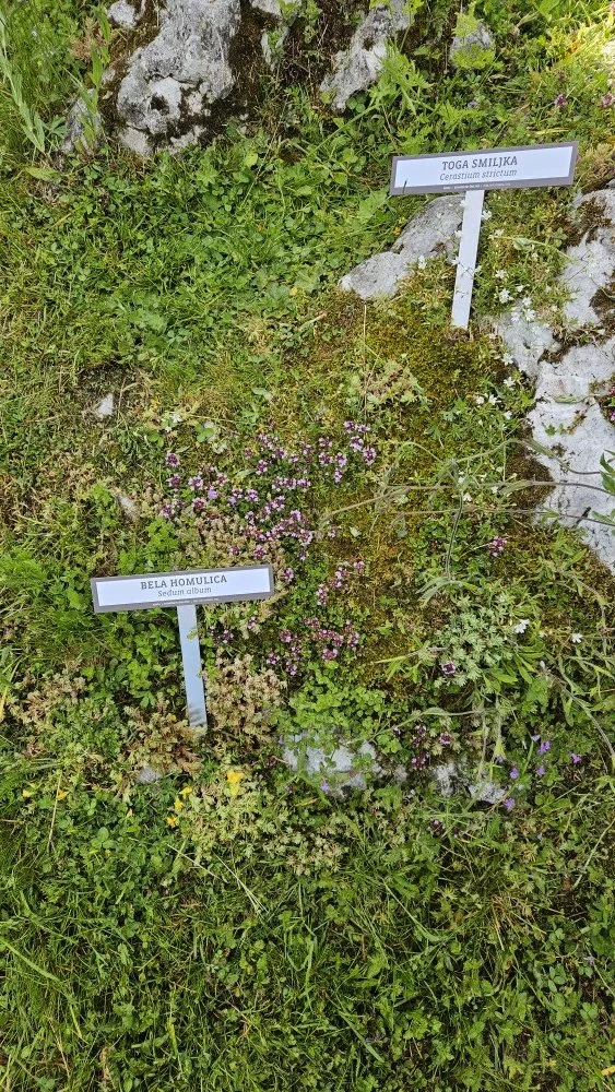 20260613_081504m.jpg