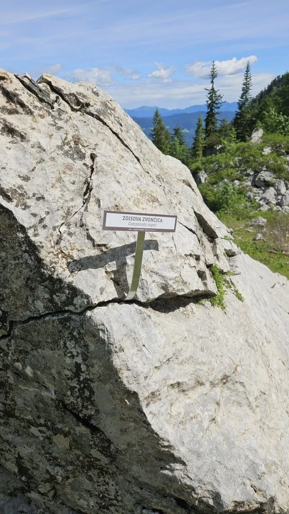20260613_102952m.jpg