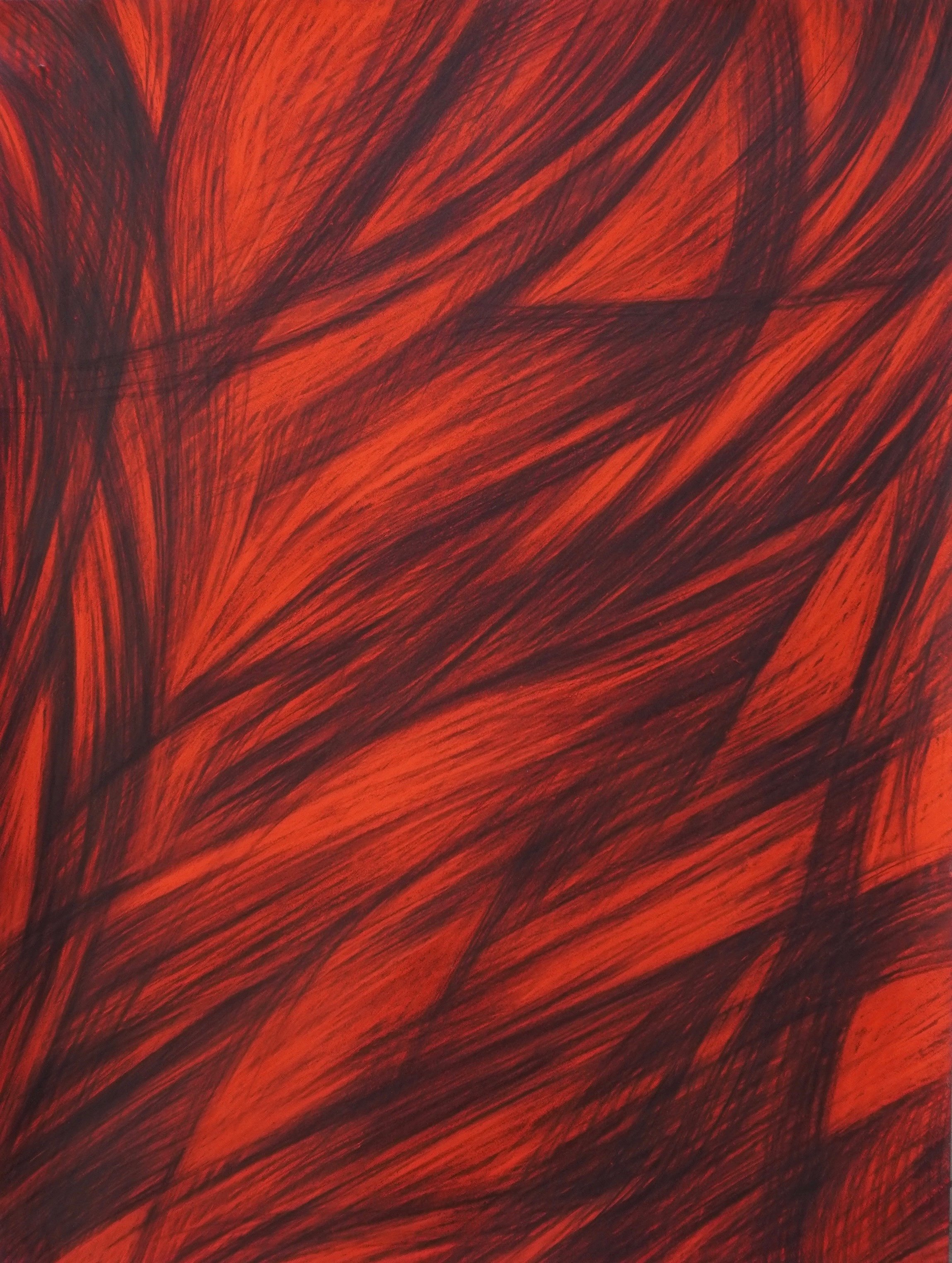 Ferus IV, charcoal and pastel on paper, 19 x 21 inches, 2021