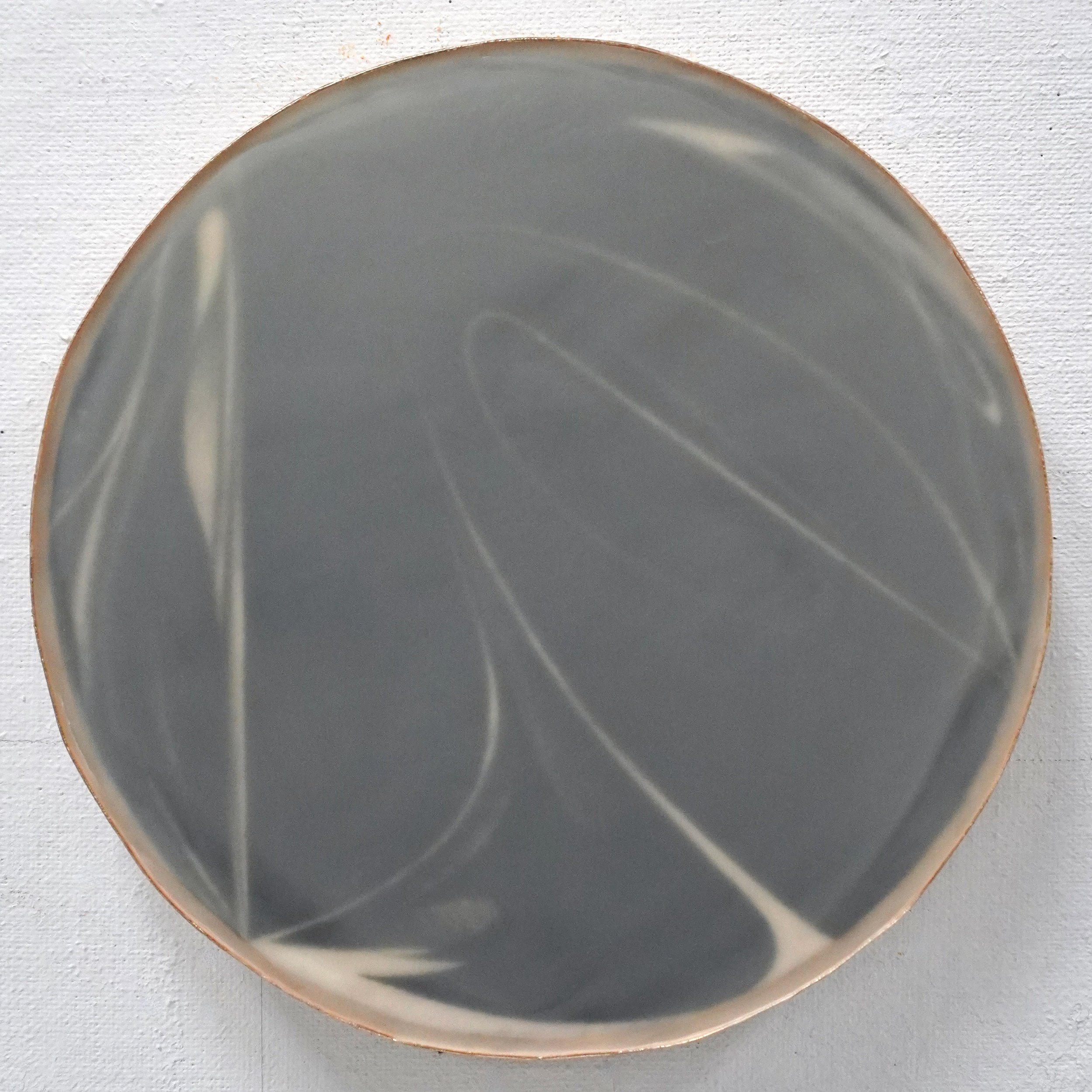 Within Nature (Series), Graphite on paper mounted on panel with encaustic medium,
Various sizes, 2023-present