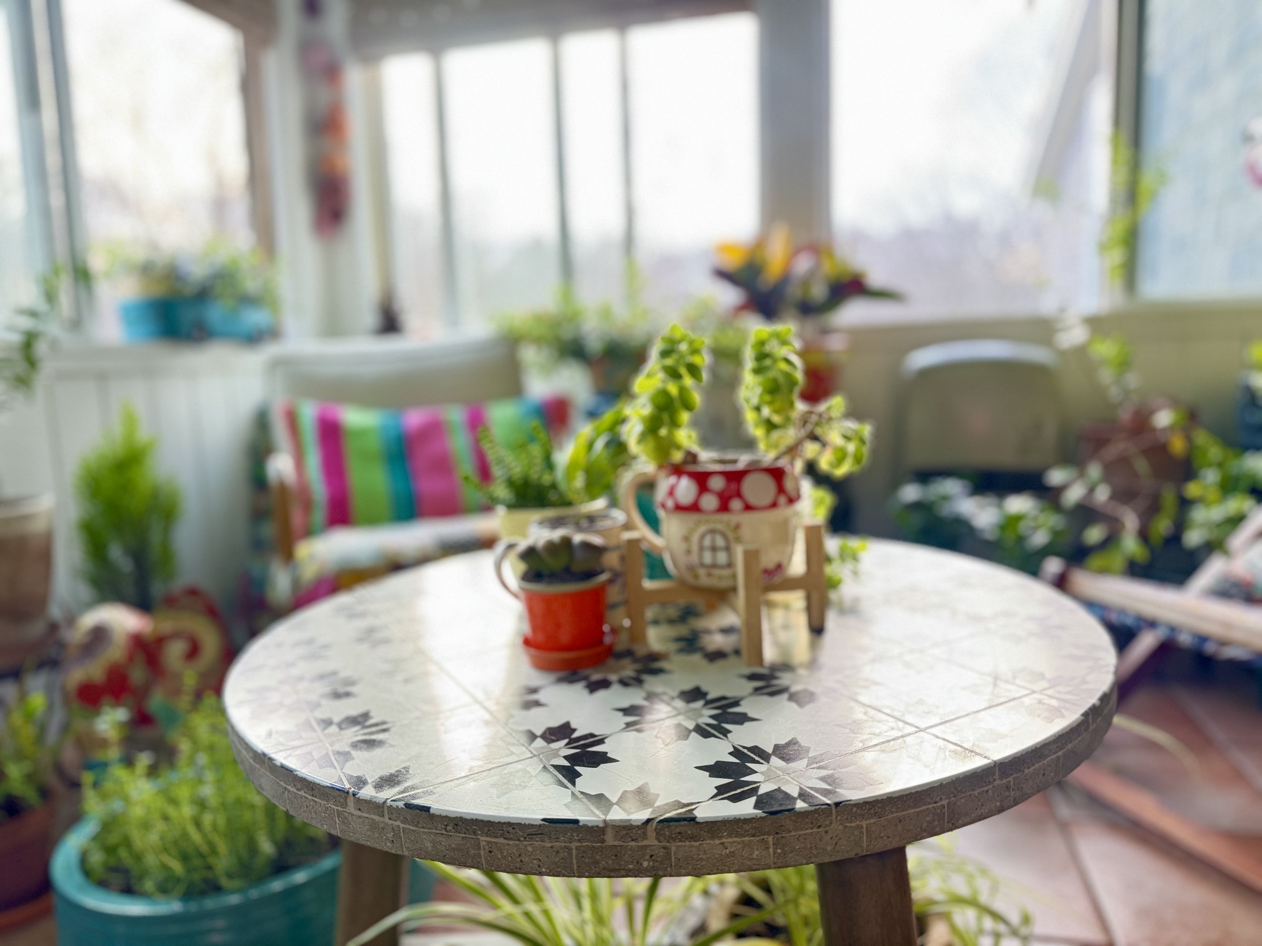 Sunroom with a round table featuring patterned tiles, assorted potted plants, colorful striped pillows on a chair, and natural light coming through large windows.