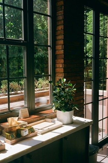 Sunlit room with a large window, showing a view of greenery outside. Inside, a countertop holds a potted plant and stacked items, illuminated by natural light.