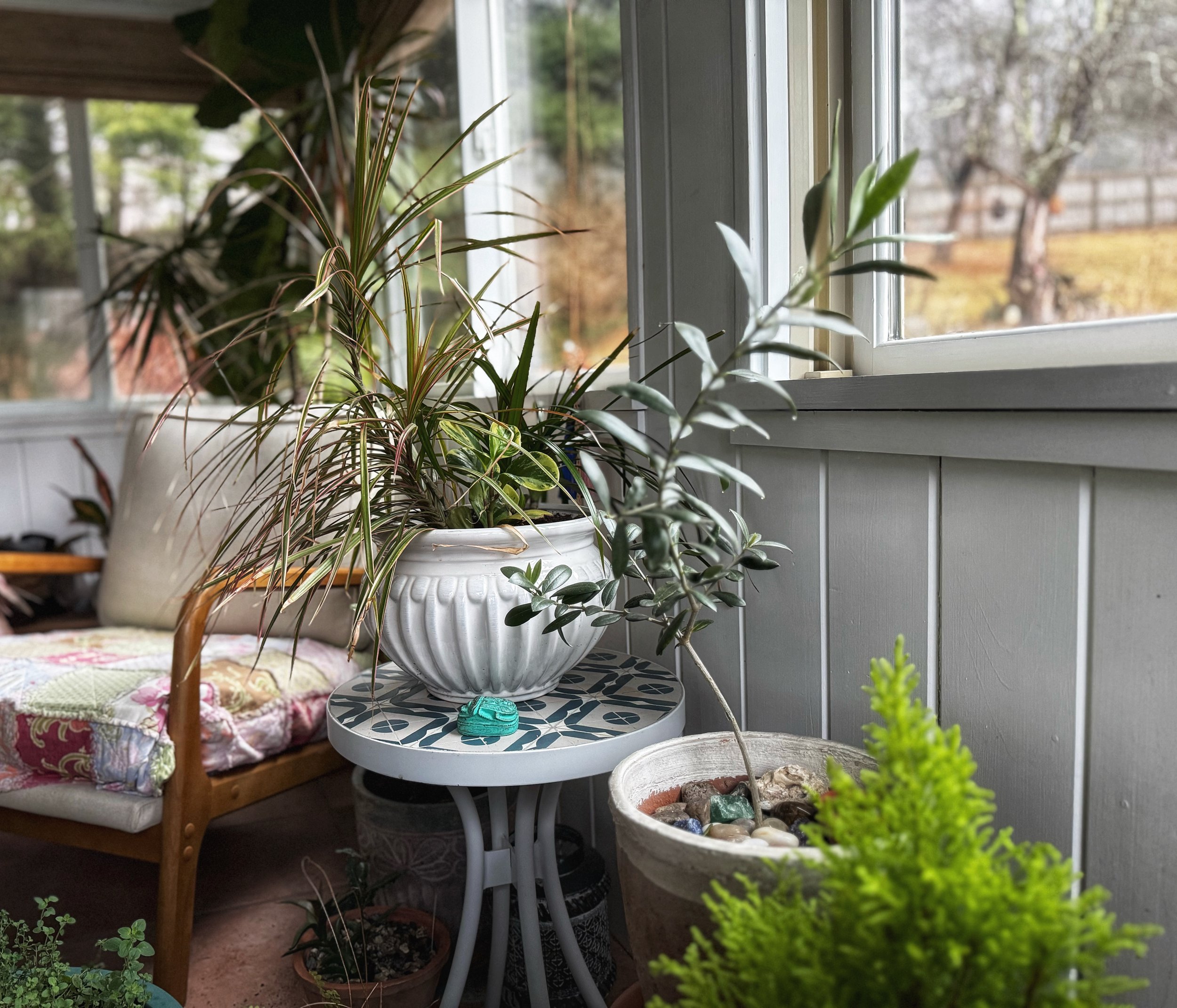 Indoor sunroom with various potted plants on tables, a woven chair with cushions, and a window view of a rustic outdoors.