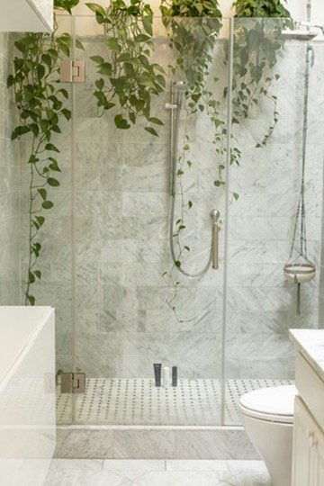 Modern bathroom shower with glass doors, marble tiles, and hanging green plants.