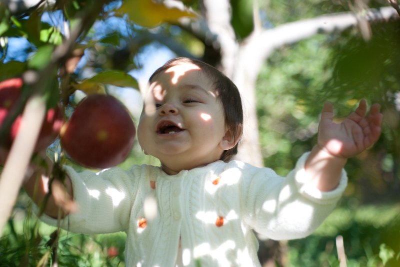 Returning to Joy