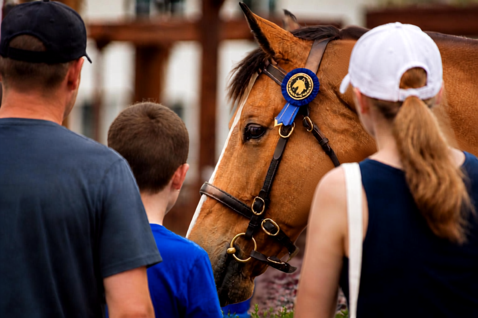 Pet Custody &amp; High-Value Animals in Property Settlements