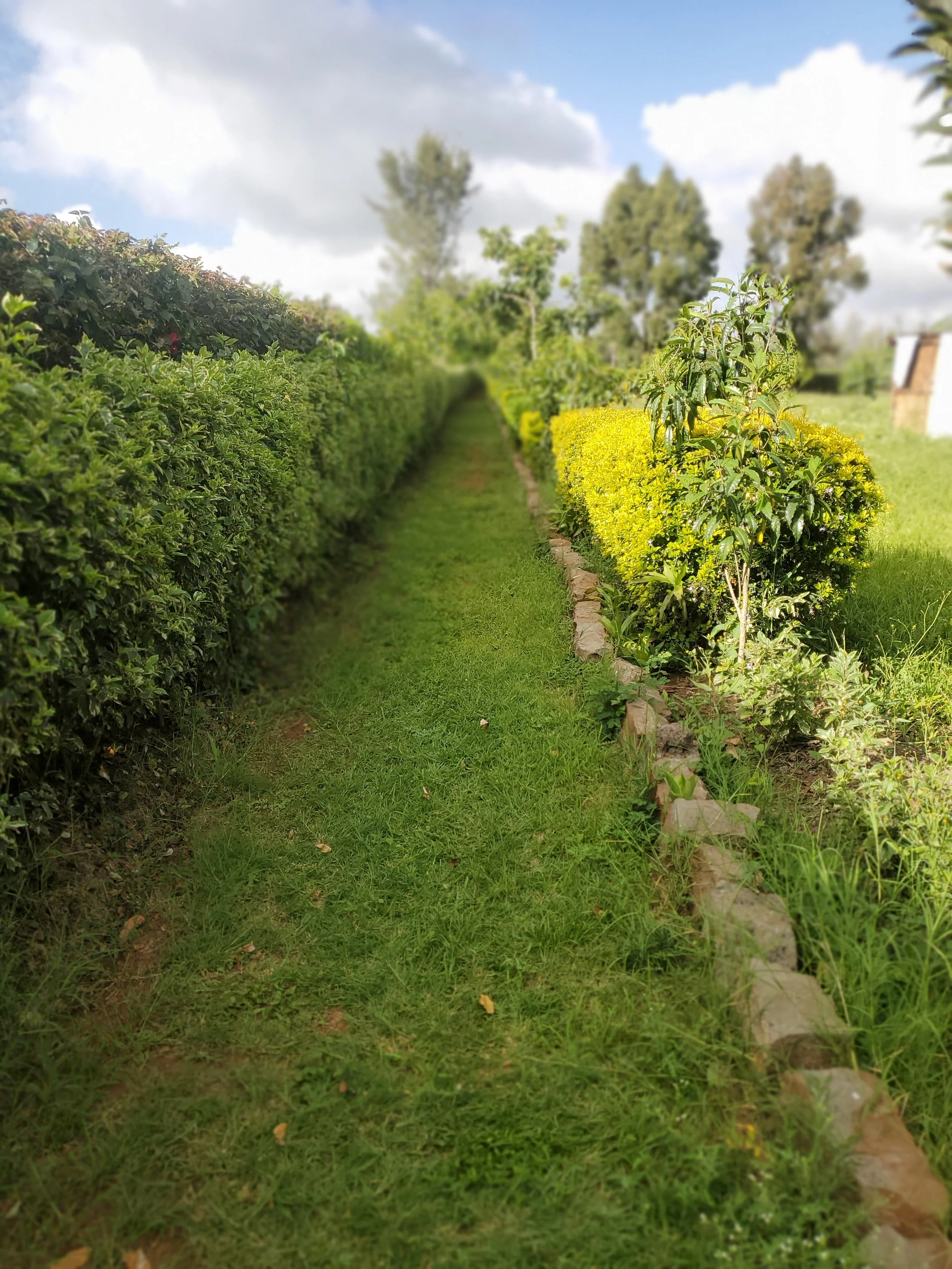 Camp-Kairos-Kenya-Property-facility-garden-tenting-6.jpg