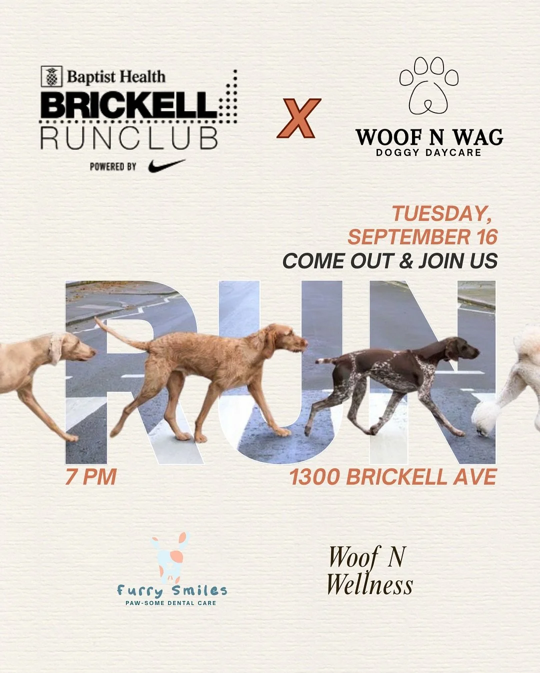 BRICKELL RUN CLUB x WOOF N WAG MIAMI - Join us together for a Tuesday night run! 🐾🏃🏽&zwj;♀️🏃🏼

🗓️ September 16 at 7PM 

A night of community, movement, and wagging tails. Meet us at 1300 Brickell Ave - let&rsquo;s make this run one to remember!