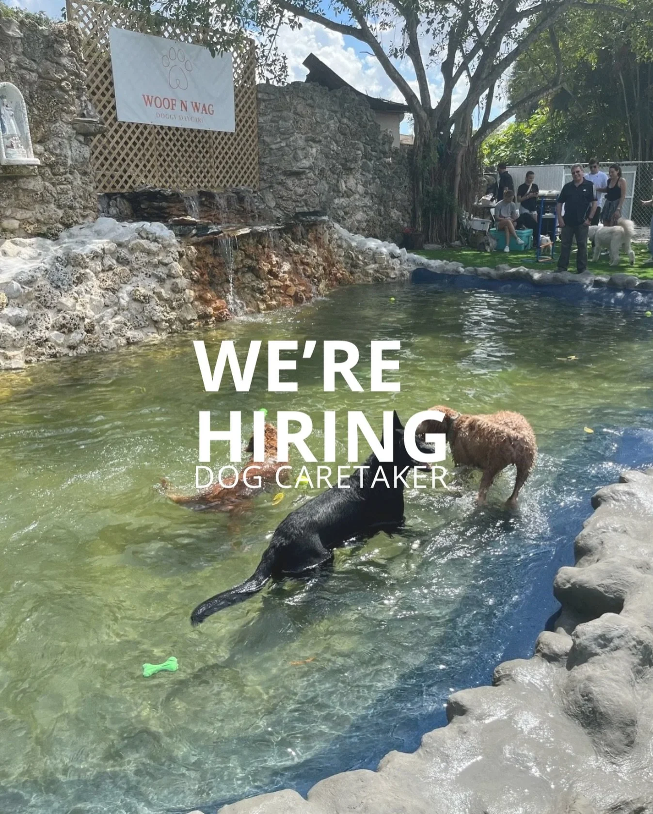 Now Hiring 🐕

Woof N Wag is looking for passionate, reliable team members.

✔️ Prior experience preferred
✔️ Weekend availability required

Email resumes to info@woofnwagmiami.com