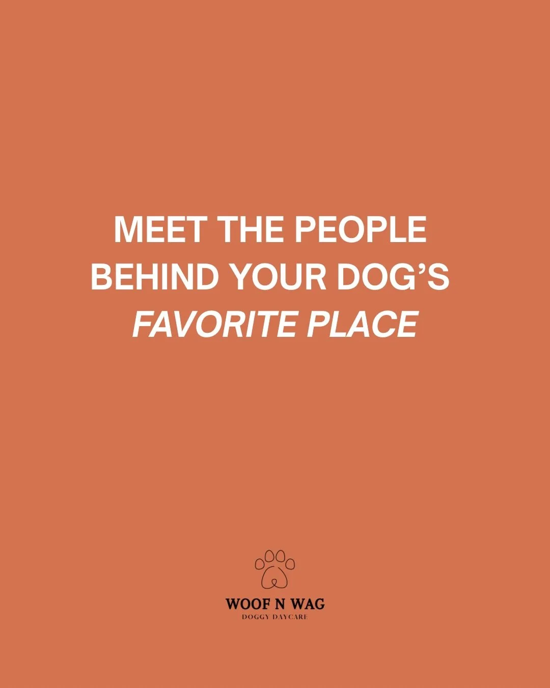 Not just a dog daycare.

Every single dog that walks through our doors is cared for by real people who genuinely love what they do. The early mornings, the pick ups, the playtime, the clean ups, the content, the planning, the behind the scenes you do