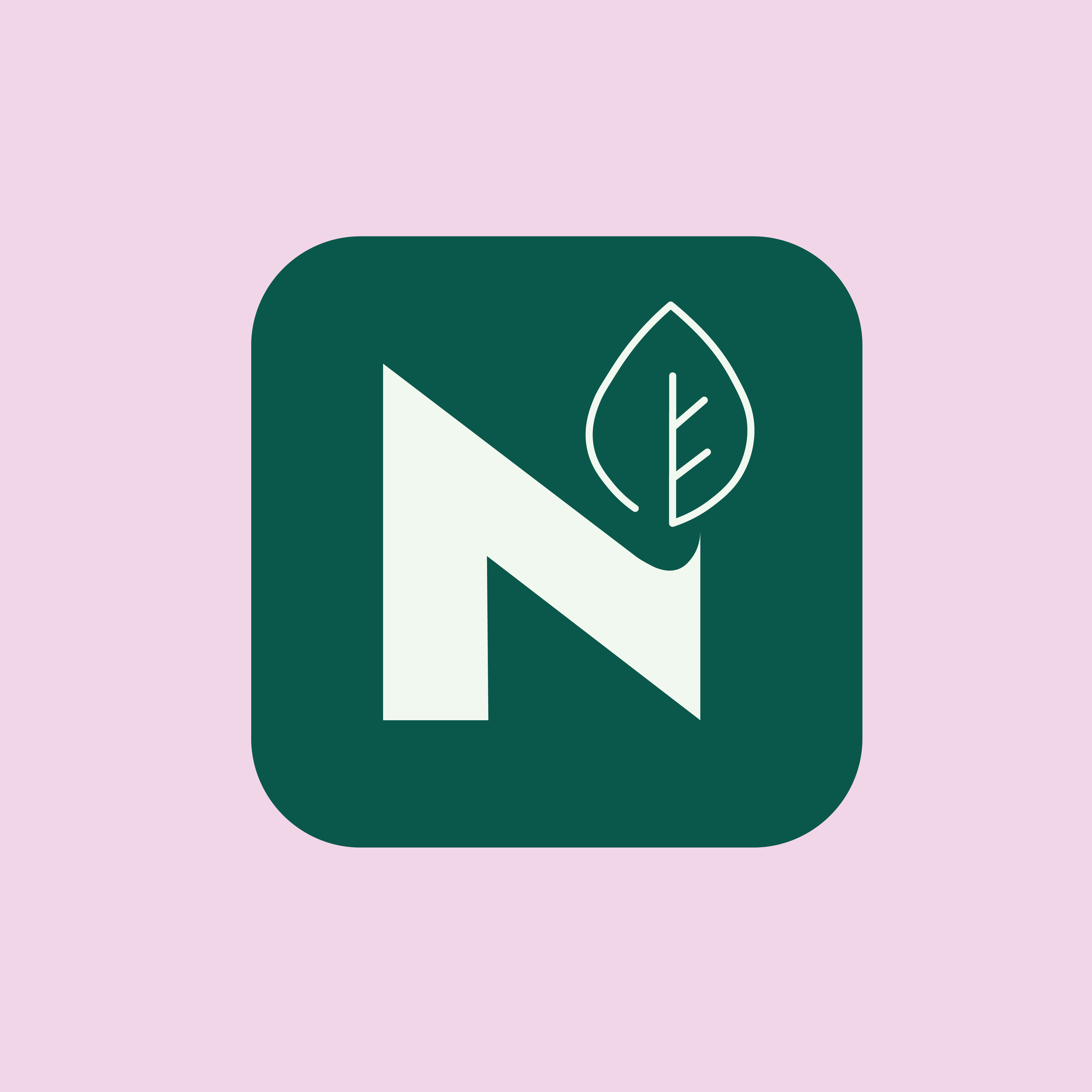 websiteimages-09.png