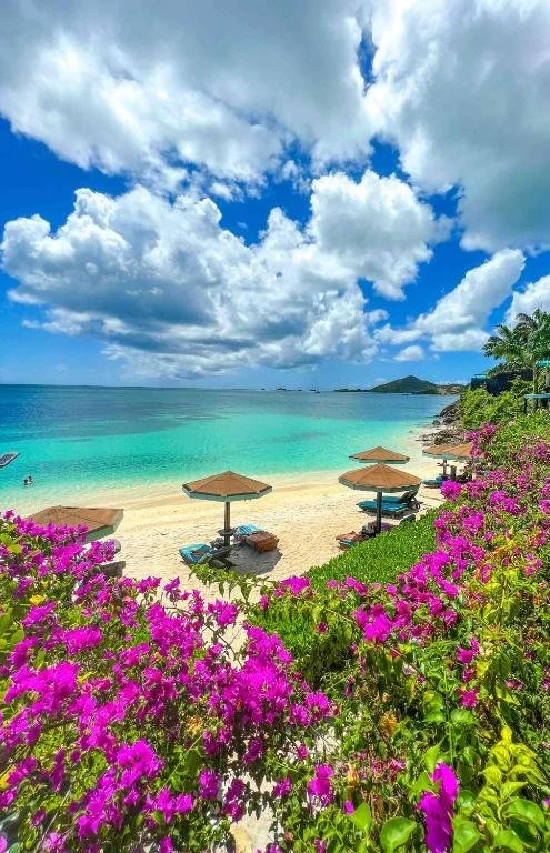 COCOS Hotel, Antigua2.jpg