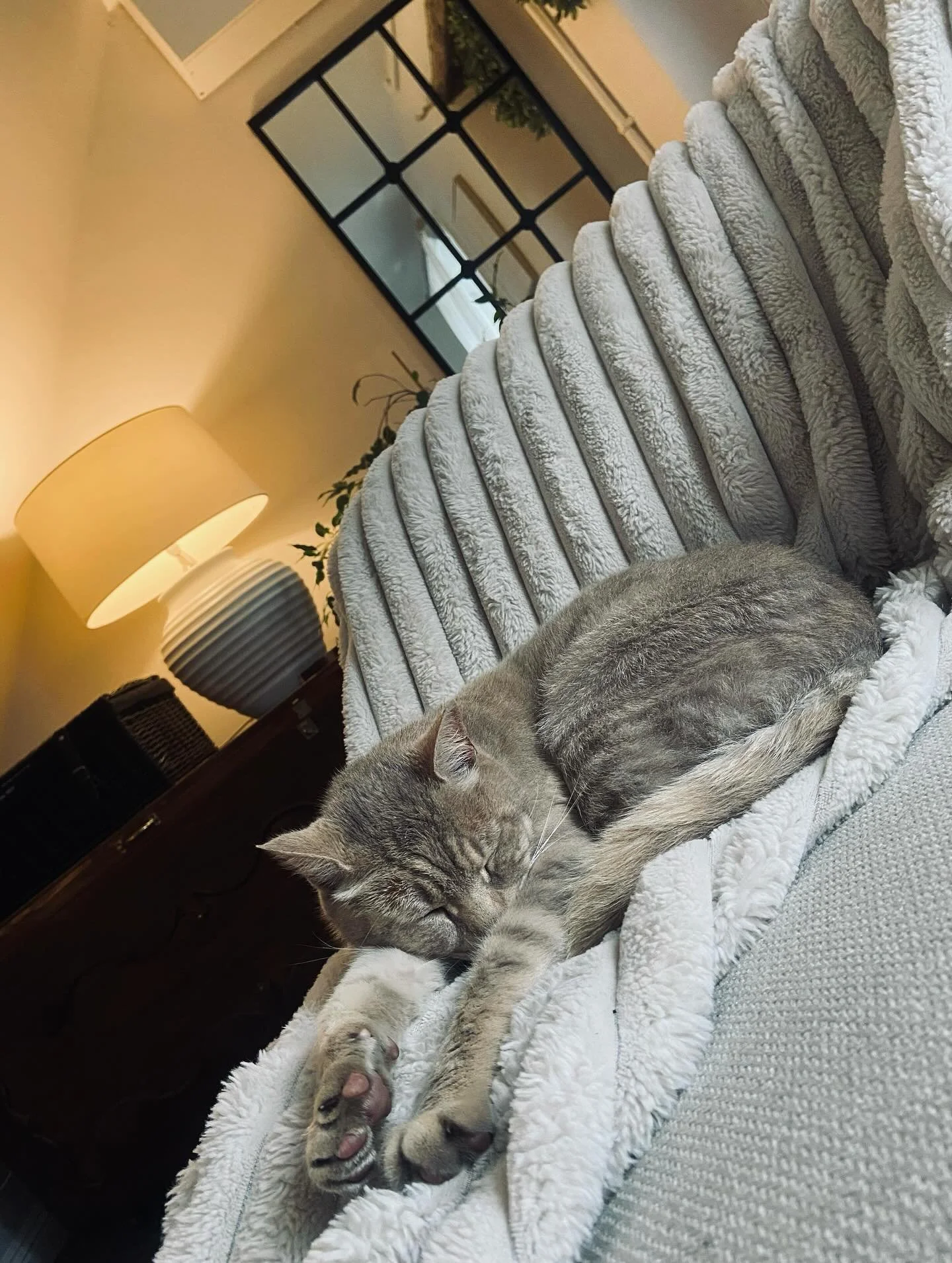 The last day of August is certainly giving cozy vibes. Pro tip - a fluffy cat is a great autumn accessory 😊