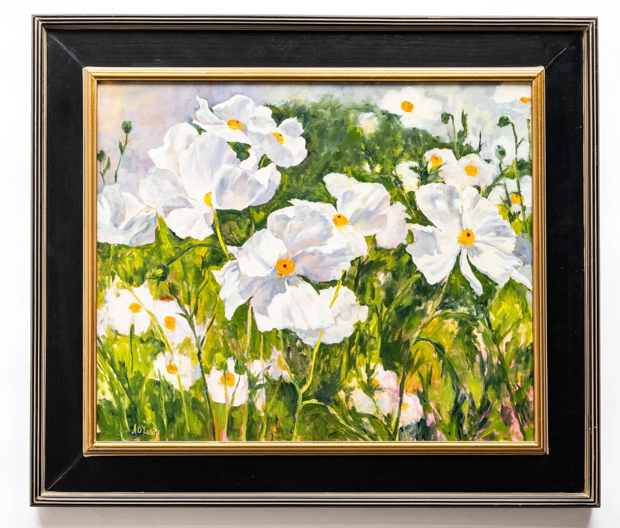 Sunlit Poppy Field by Alice O'Leary