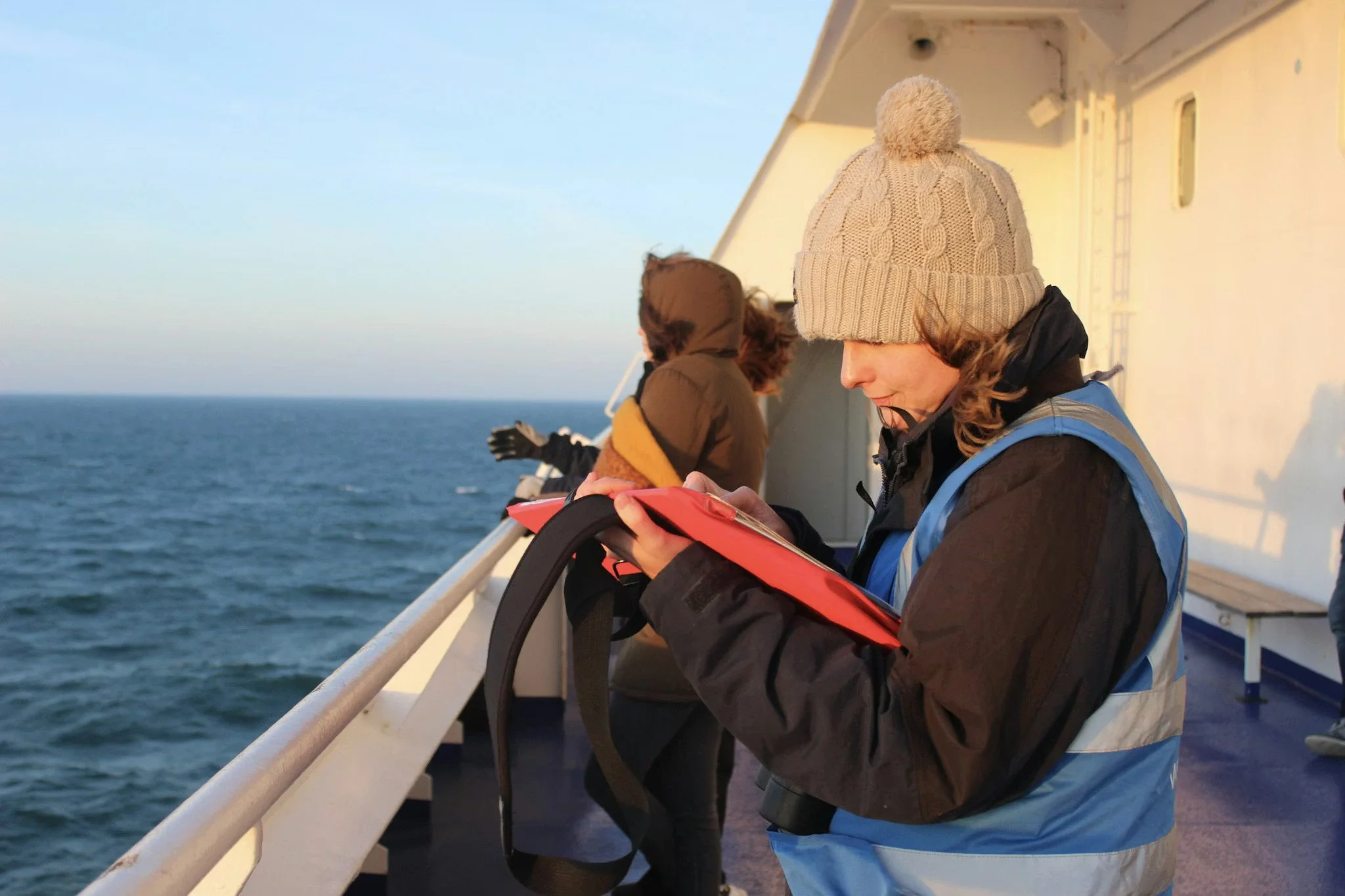 MSC Cruises Teams Up with ORCA for Whale Protection During First Alaska Season