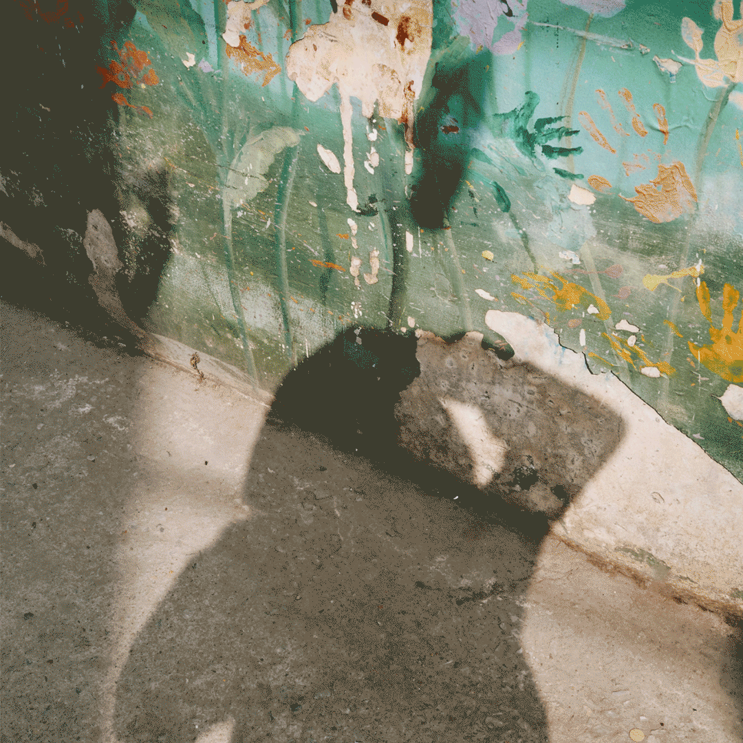 Intro to Motion: Gifs