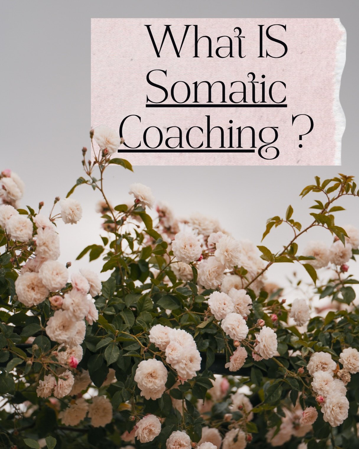 I think practitioners can all agree that &lsquo;somatics&rsquo; has evolved massively since Hanna wrote the definition I&rsquo;ve cited here, and arguably the definition would depend on who you spoke to. 

There&rsquo;s somatic dance/ movement, somat