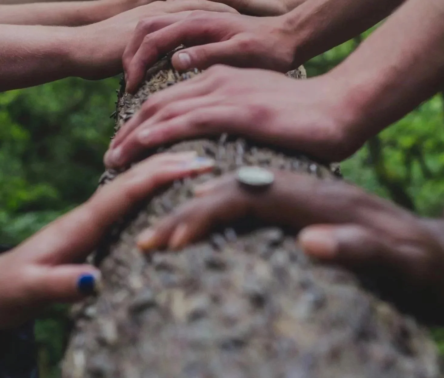 Hände divers halten eine Baumstamm | Beziehungsanarchie | Polyamorie | offene Beziehung | Paartherapie | systemische Beratung | psychologische Beratung | Berlin | Annu Jona Winkler