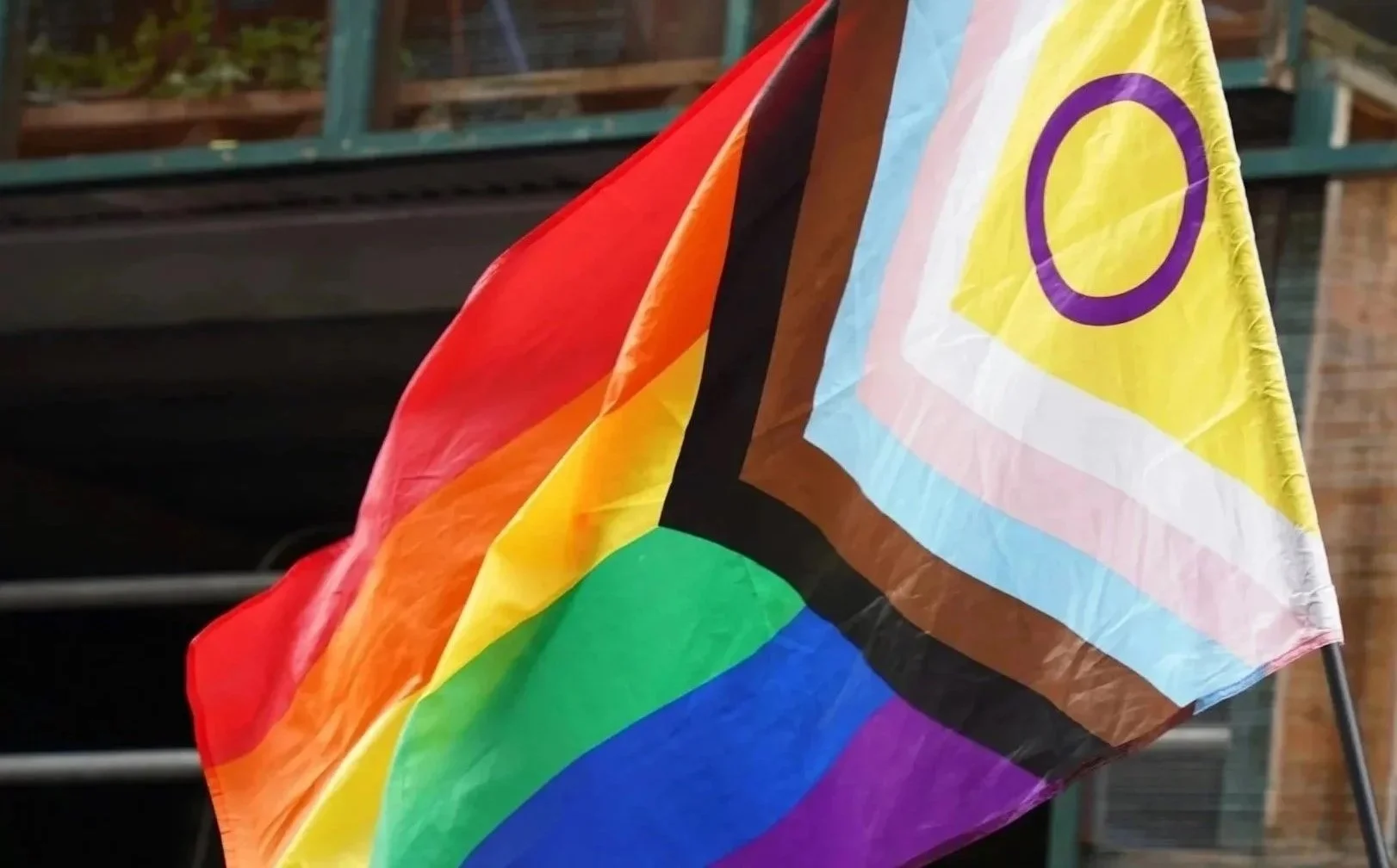 inter progress pride flag | queersensible Paarberatung | Paartherapie | systemische Beratung | psychologische Beratung | Identität | Gender | Peer to Peer | Annu Jona Winkler | Berlin und online