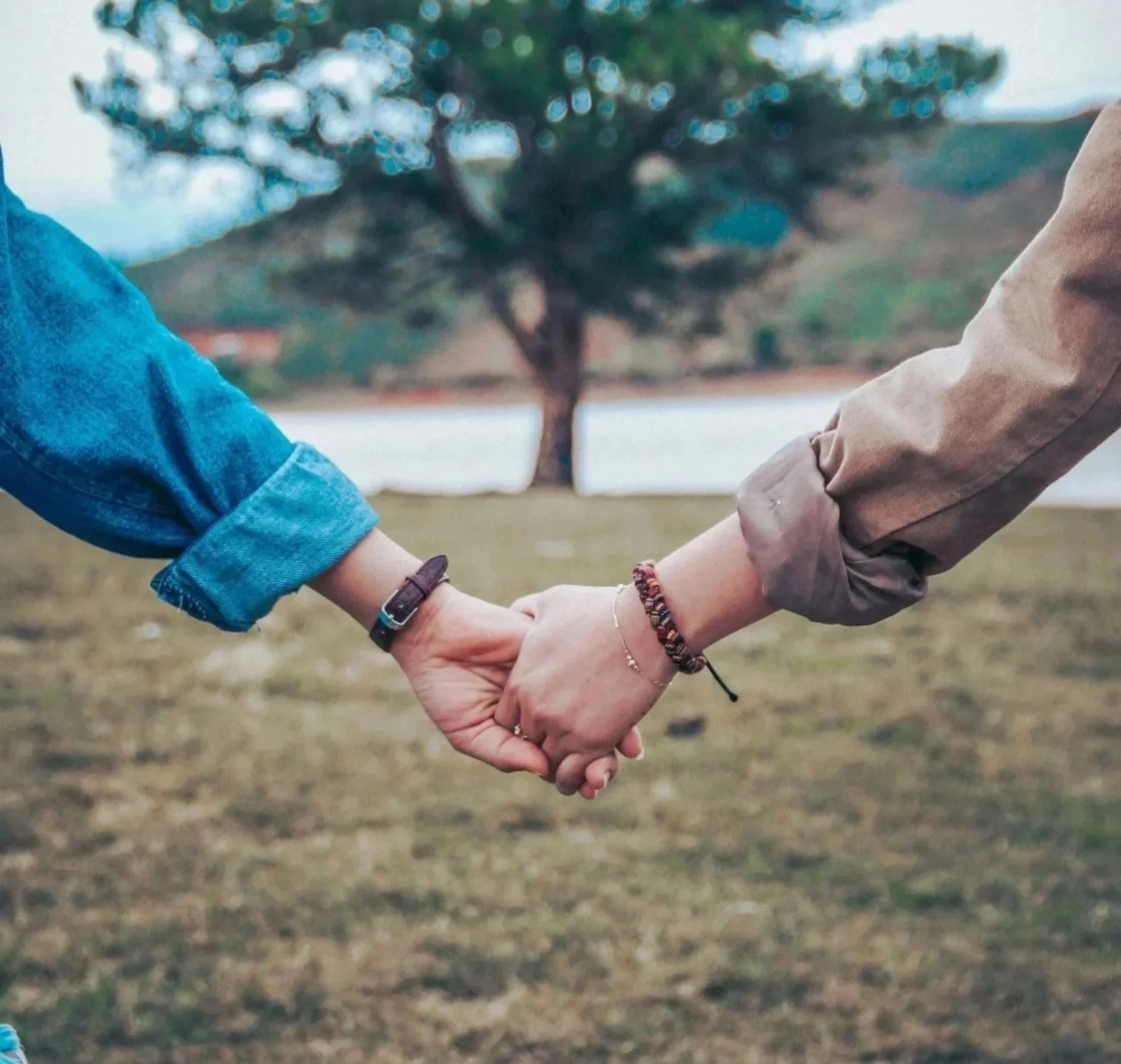 Paar Hand haltend auf einer Wiese | queersensible Paarberatung | Paartherapie | systemische Beratung | psychologische Beratung | Paarcoaching | Kommunikationsskills | Annu Jona Winkler | Berlin online