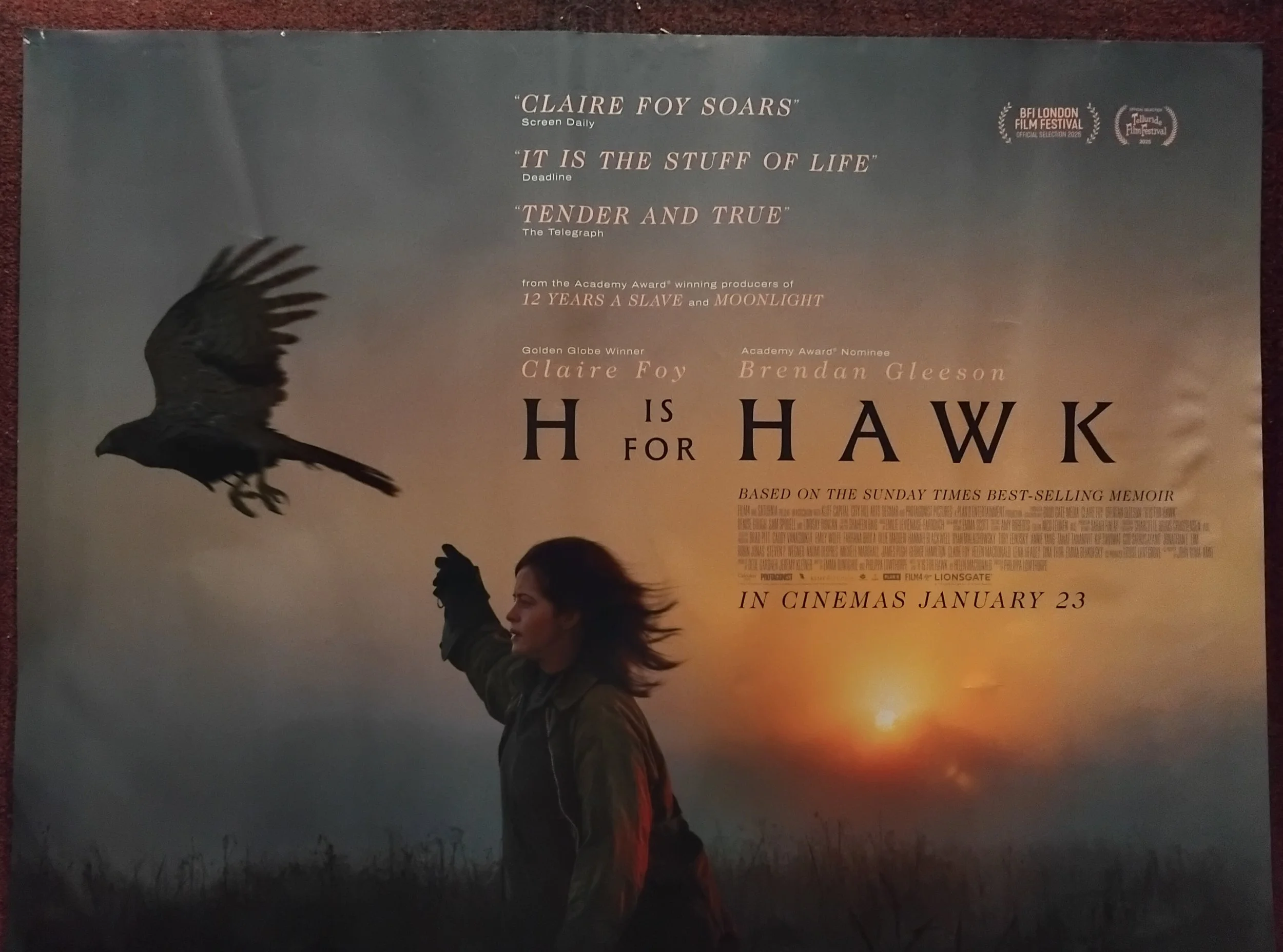 H is for Hawk
