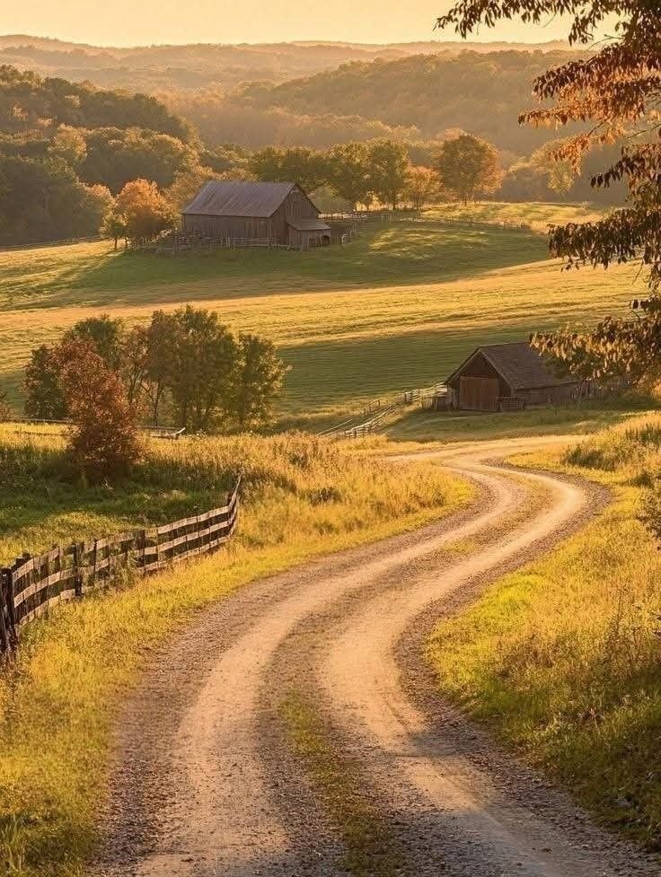 “County Line Life”
