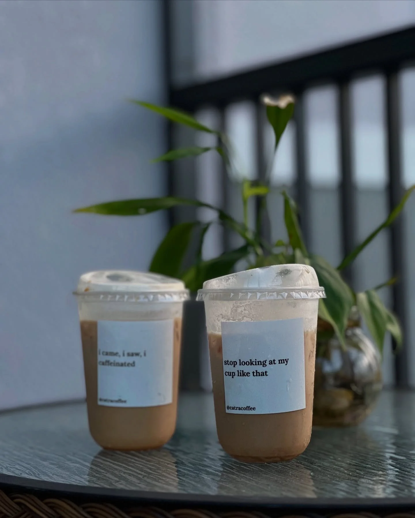choose your fighter.
spoiler alert: they&rsquo;re both catra. u win either way.

#catracoffee #moiblecoffee #coffeecart #icedcoffee #portstlucie #stuartflorida #ftpierce