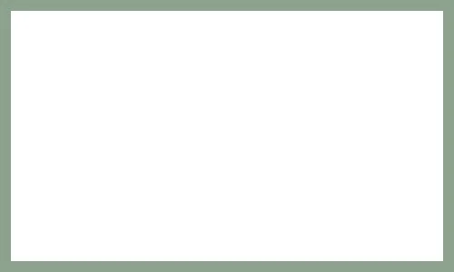 White rectangle with green border