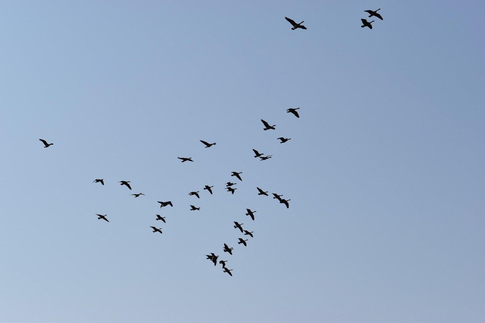 DSC_0229.jpeg