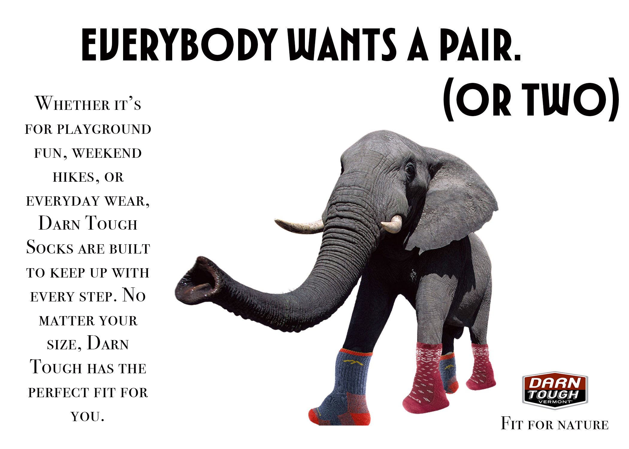 Elephant final .jpg