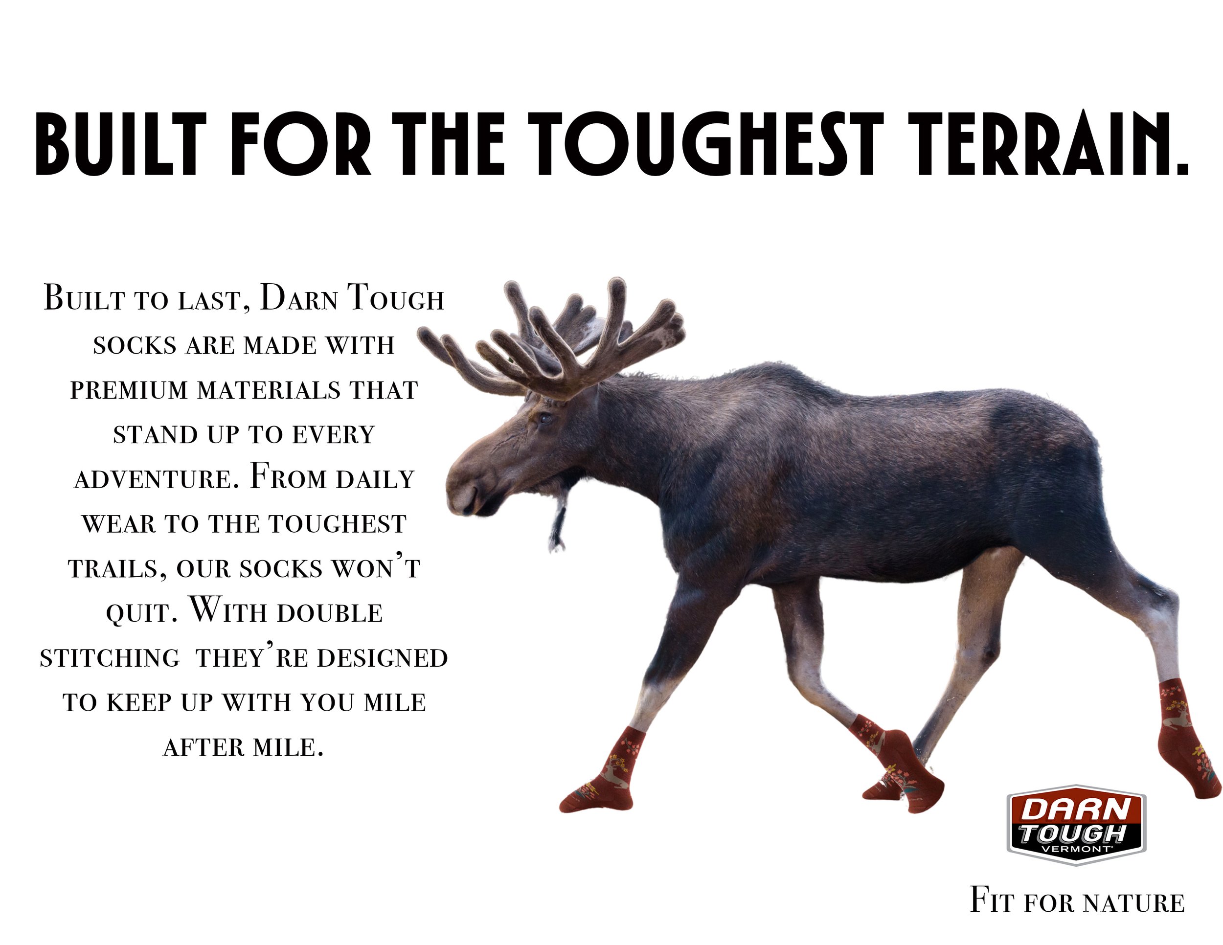 Moose.jpg
