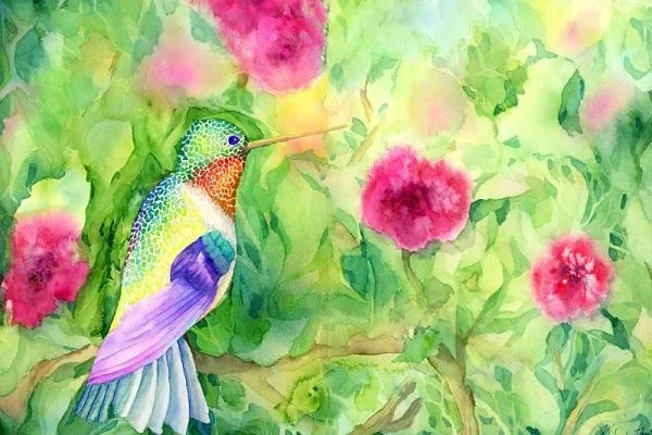 kimberlyzook_Colibri_watercolor_17.5x11.5_250.jpg