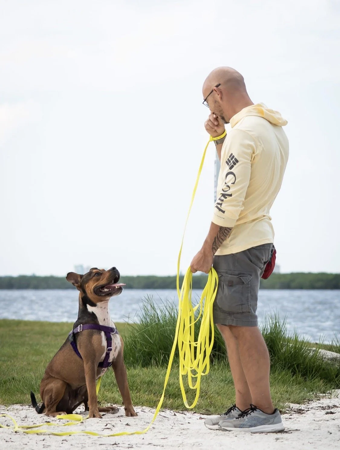 A man with a shaved head and glasses stands on grass near water, holding a yellow dog leash. A brown and white dog with a harness sits on sand, looking up at the man. The sky is overcast.