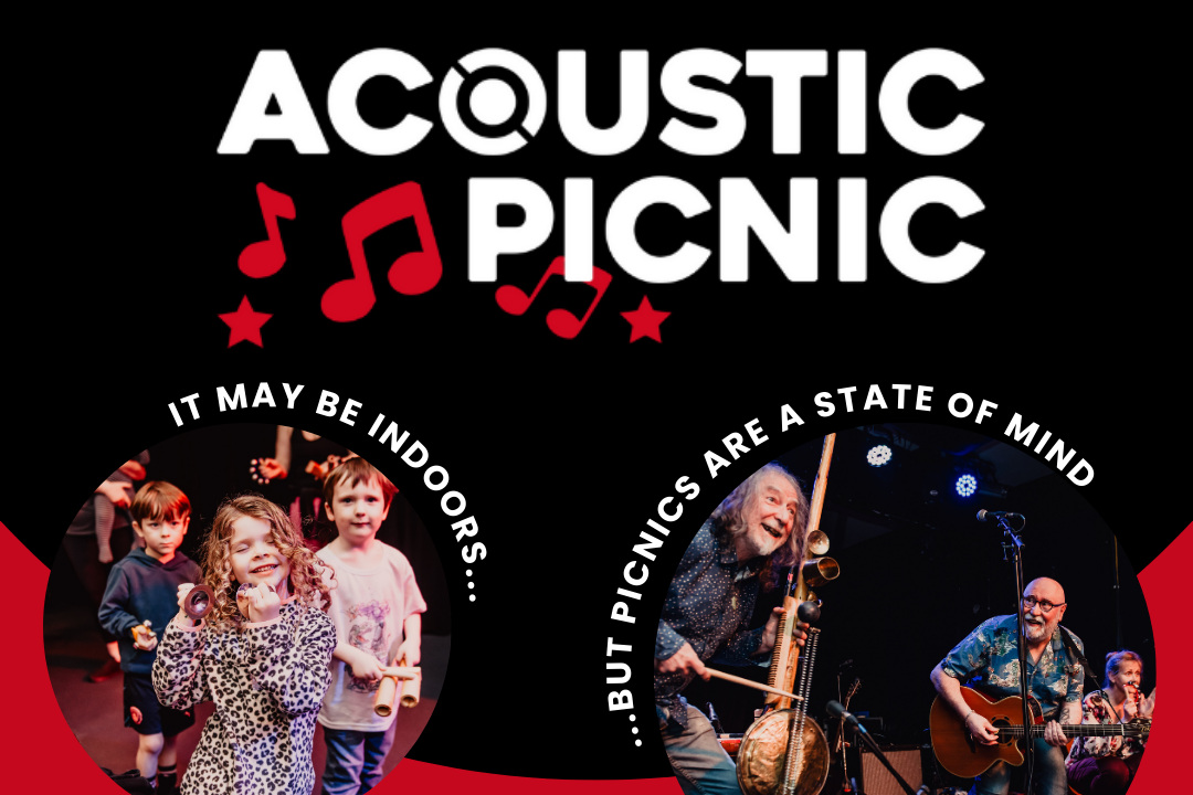 Acoustic Picnic 