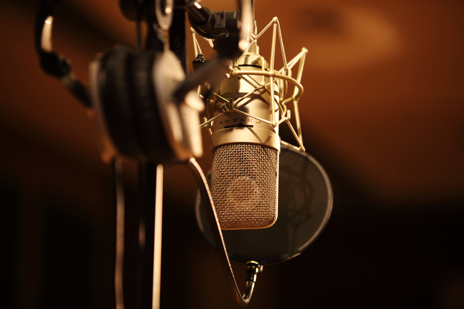 Anatomy of an Audio Doc