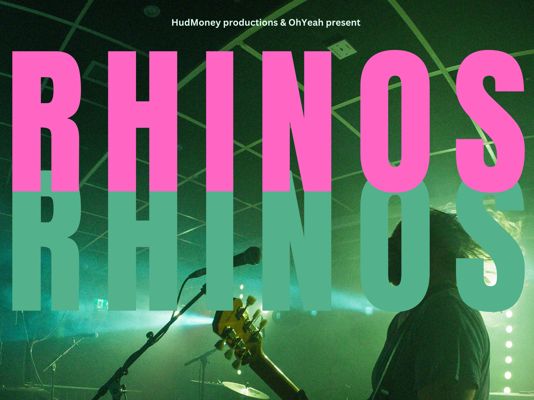 Rhinos