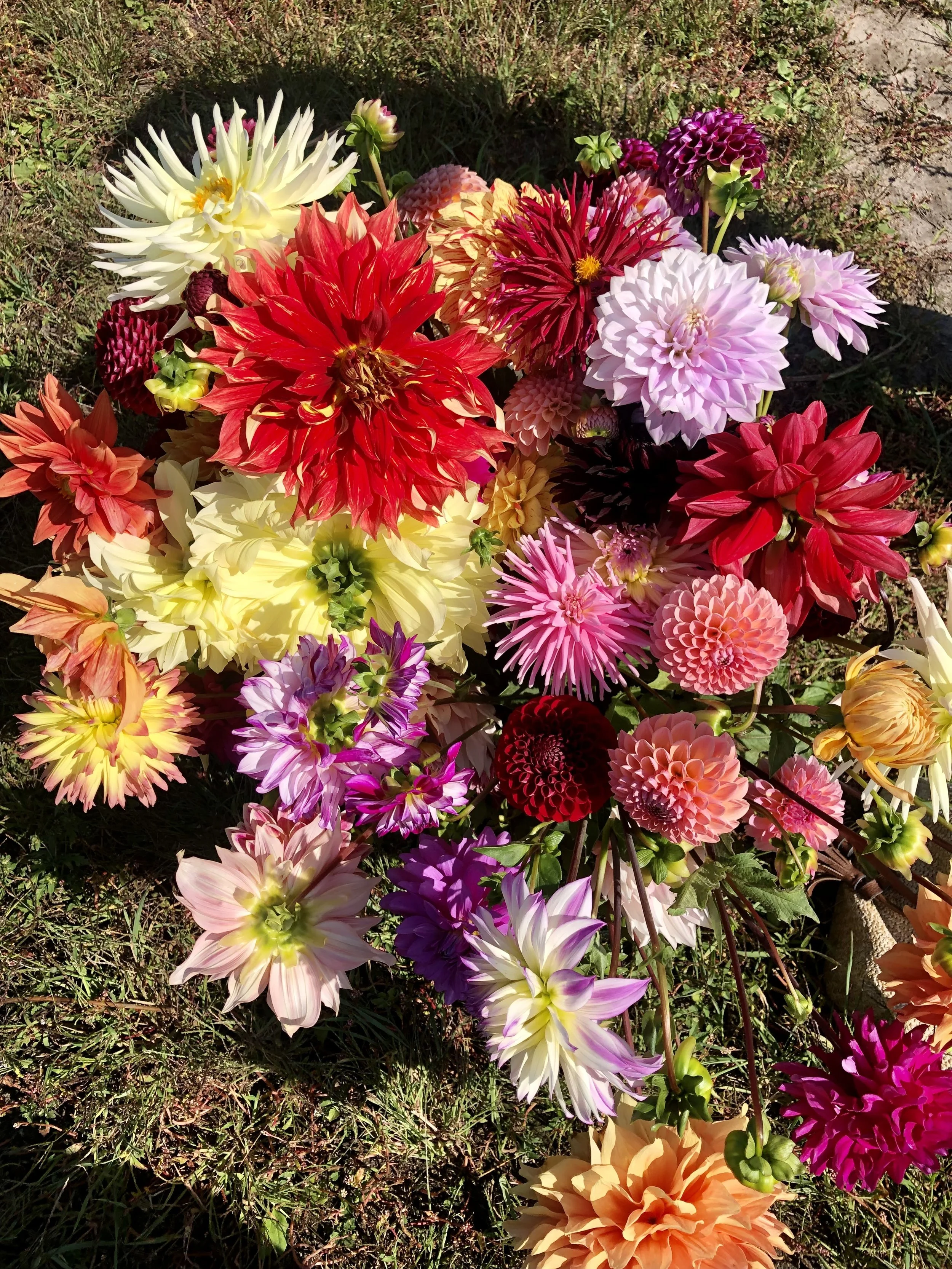 Fill Your Own Bucket