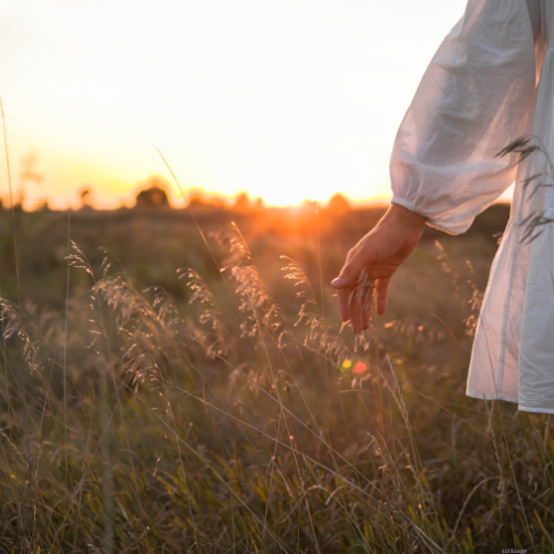 Welcome to Sol &amp; Sage Wellness: Where Science Meets Soul